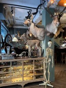 20251108_遷鳥陳列所3