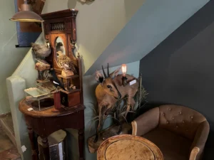 20251108_遷鳥陳列所2